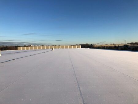 Primary view of roofing